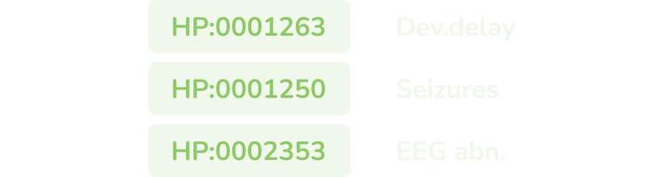 SeqSMART